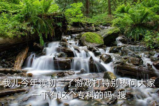 我兒今年讀初三了游戲打特別棒問大家一下有這個?？频膯? 搜