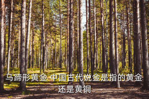 中國古代的黃金是什么，古代中國都使用了哪些金屬