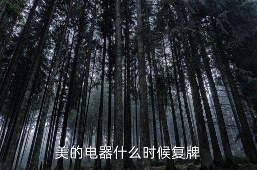 美的什么時候復牌，美的電器何時復牌