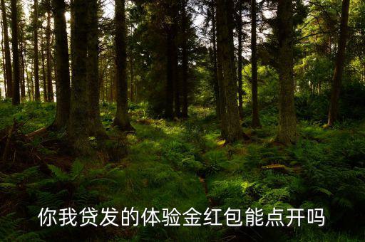 你我貸的體驗(yàn)金是什么意思，你我貸體驗(yàn)金怎么用