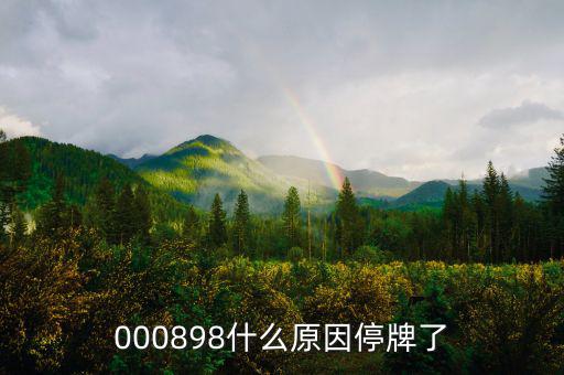 華資實業(yè)為什么停牌，000009今天為何停牌