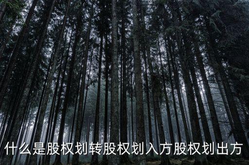 劃轉(zhuǎn)是什么意思，什么是股權(quán)劃轉(zhuǎn)股權(quán)劃入方股權(quán)劃出方