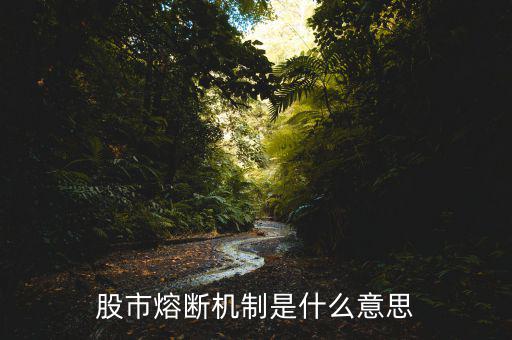 熔斷機(jī)制是什么意思，熔斷機(jī)制怎么理解啊