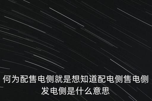 什么是發(fā)電側(cè)，發(fā)電側(cè)和變電側(cè)的側(cè)是什么意思啊