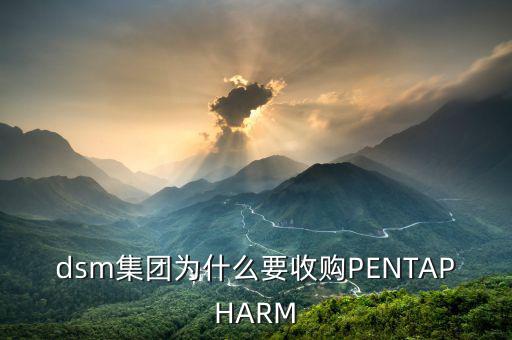 喜游國(guó)際被什么公司并購(gòu)，DSM據(jù)說(shuō)收購(gòu)了一個(gè)特牛的公司是什么大家有知道的嗎