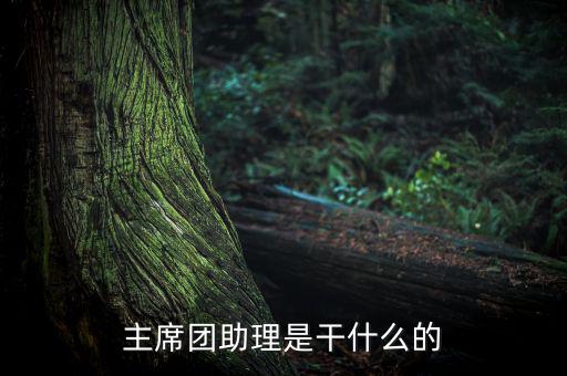主席團(tuán)助理做什么，主席團(tuán)助理是干什么的