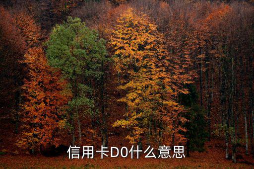 預(yù)付卡的贖回是什么意思，信用卡D0什么意思