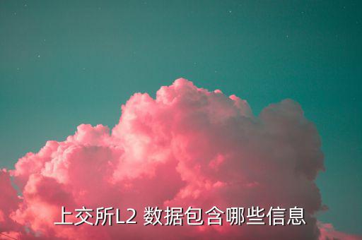股票l2什么意思，股票標示 融 深股通 L1是什么意思