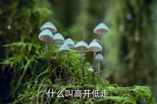 高開低走什么意思，低開高走什么意思