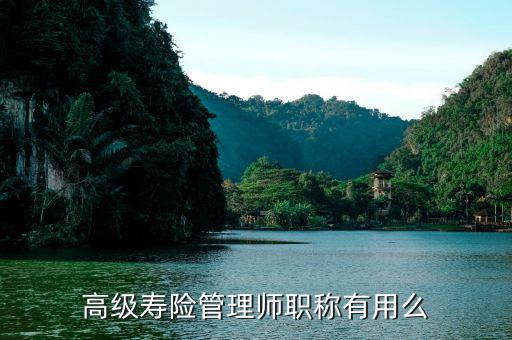 保險高管證有什么用，朋友讓我?guī)退急ｋU高管證說考過了我就是他公司的法人這兩個