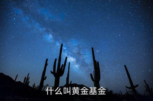 基金類型黃金型是什么意思，基金類型是黃金型所謂的黃金型是什么意思