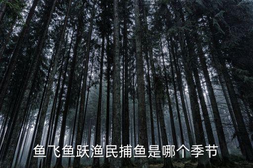 漁民捕魚一般是什么時候，魚飛魚躍漁民捕魚是哪個季節(jié)