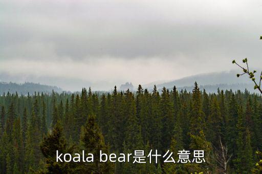牛壓熊什么意思，tady bear是什么意思