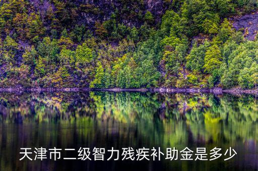 天津市對二級殘疾人有什么補助，二級殘疾人補助標準