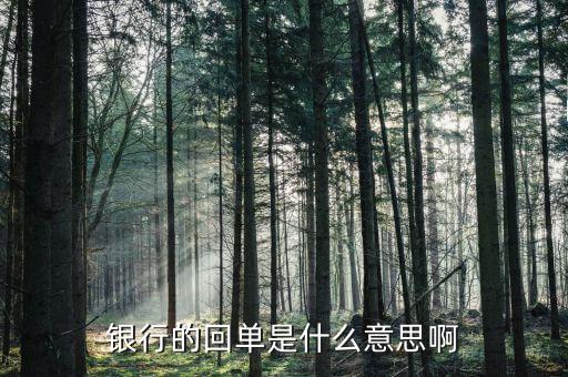 貸款資金回流什么意思，什么是貨款已付資金回流虛開發(fā)票