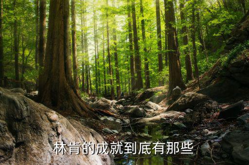 林肯的業(yè)績有什么，華盛頓林肯共同歷史功績