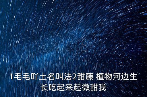 安徽有個什么林紙業(yè)，坐幾路公交車去安徽華泰林漿紙有限公司