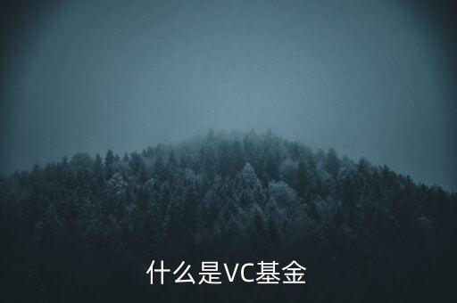 vc基金是什么，什么叫VC基金