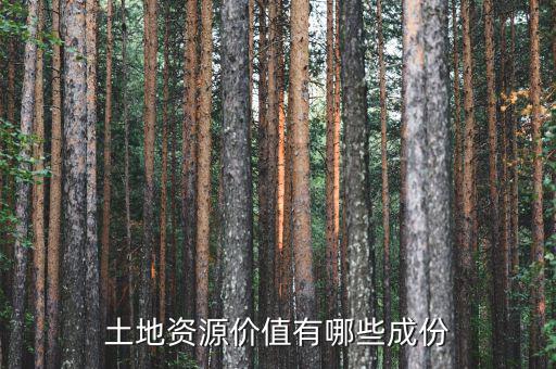 城市土地價(jià)值包括什么，土地竟得價(jià)值是什么意思