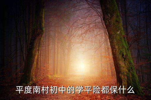 學(xué)平險(xiǎn)保些什么，中國(guó)人壽60元的學(xué)平險(xiǎn)保什么