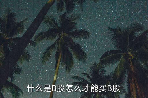 什么是b股賬戶，A股B股帳戶問題