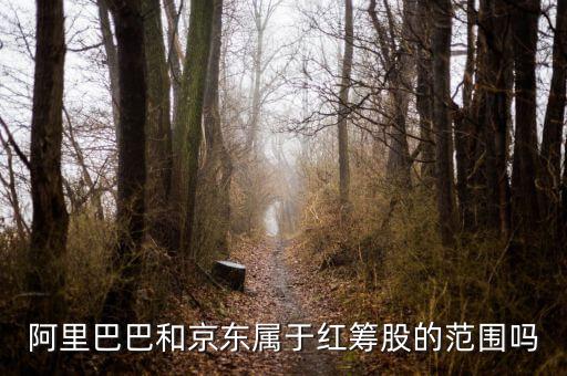 紅籌股是什么意思，權(quán)重股紅籌股