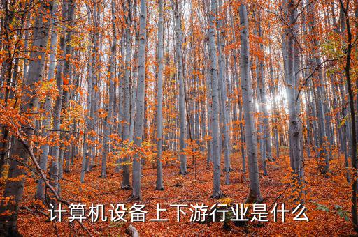什么是計算機上游行業(yè)，軟件行業(yè)的上下游行業(yè)有哪些