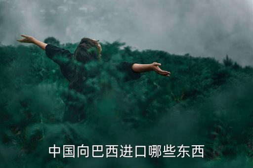 美國(guó)從巴西進(jìn)口什么，中國(guó)向巴西進(jìn)口哪些東西