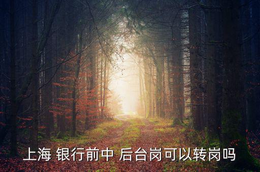 銀行前臺怎么轉(zhuǎn)后臺,銀行分為中央銀行和政策銀行、商業(yè)銀行等