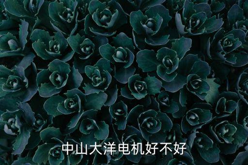 中山大洋電機(jī)屬于什么行業(yè)，中山大洋電機(jī)好不好