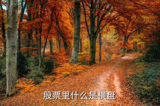 橫盤調(diào)整什么意思，股民們說的建倉橫盤是什么意思