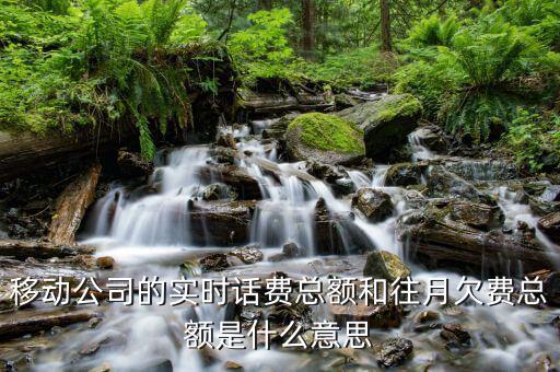 移動賬單總額什么意思，移動公司的帳單總額與實(shí)時話費(fèi)區(qū)別