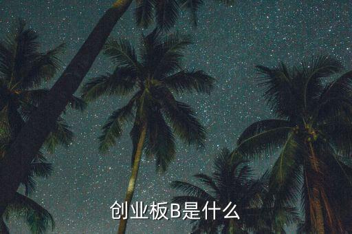 創(chuàng)業(yè)板b杠桿是什么，創(chuàng)業(yè)板B是什么