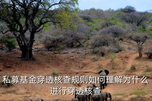 基金的穿透是什么意思，私募基金合格投資者的穿透核查怎么理解
