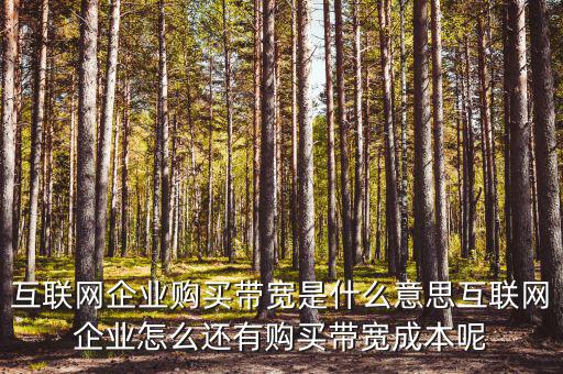 帶寬采購是什么意思，請問帶寬出口批發(fā)是什么出口的定義是 麻煩幫幫忙
