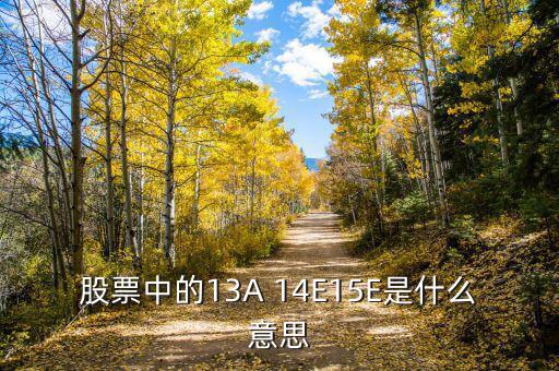 市盈率13a什么意思，財務報表中13A 14E 是什么意思