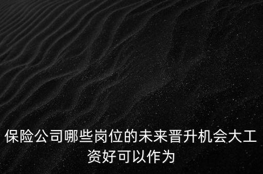保險(xiǎn)公司哪些崗位的未來晉升機(jī)會(huì)大工資好可以作為