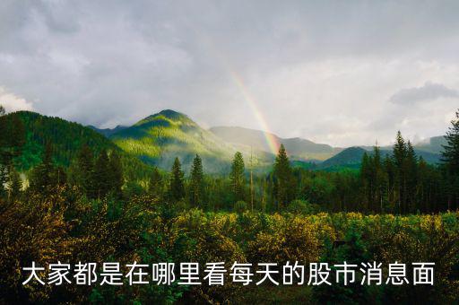 每天的股票信息看什么網(wǎng)站，大家都是在哪里看每天的股市消息面