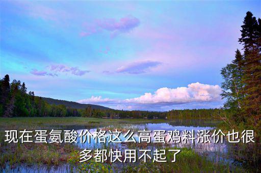 蛋氨酸價格為什么上漲，蛋氨酸持續(xù)走高面對利潤壓縮售價漲還是不漲歡迎討論