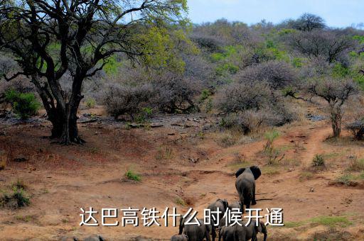 達(dá)巴高鐵什么時候開通