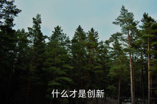 什么的創(chuàng)新，創(chuàng)新的定義是什么