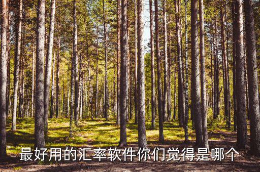 外匯用什么軟件，什么外匯交易軟件最好