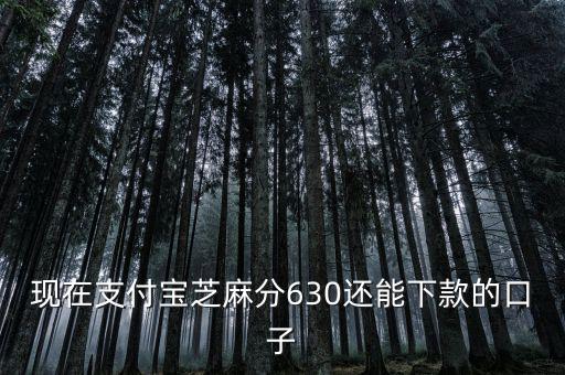 支付寶口子是什么意思，支付寶口子是什么意思