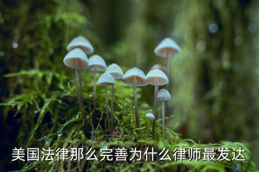 為什么美國賠償那么高，美國人為什么那么高