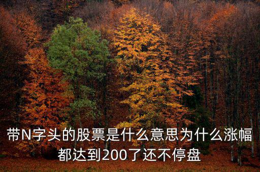 n派思是什么股票，帶N字頭的股票是什么意思為什么漲幅都達到200了還不停盤