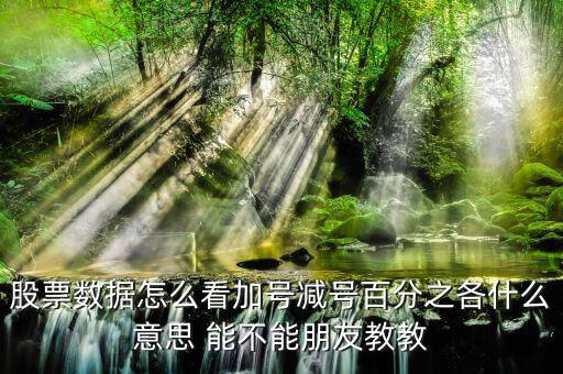 證券如何看漲停加減什么意思，漲停時(shí)買一后邊的數(shù)加減是什么意思
