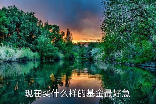 現(xiàn)在買什么基金最好，現(xiàn)在買哪個(gè)基金好