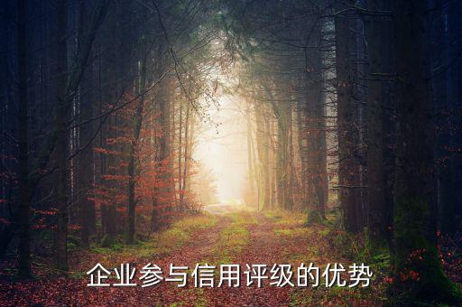 企業(yè)參與信用評級(jí)的優(yōu)勢