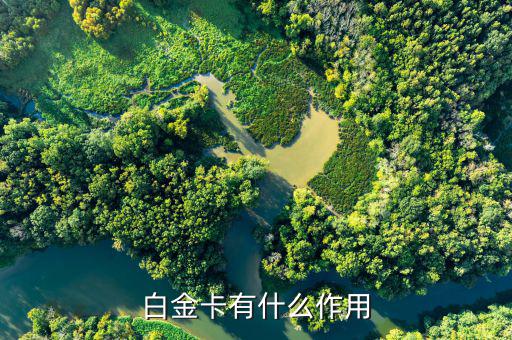 興業(yè)白金卡有什么好處，白金卡有什么作用
