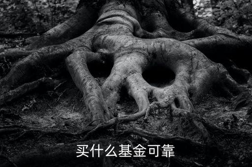 什么基金靠譜，哪些基金公司比較靠譜
